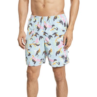 Patagonia Baggies 7-Inch Swim Trunks, Blue
