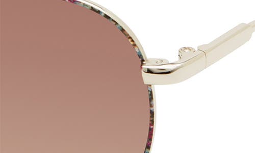 Isaac Mizrahi New York 54mm Round Sunglasses In Brown