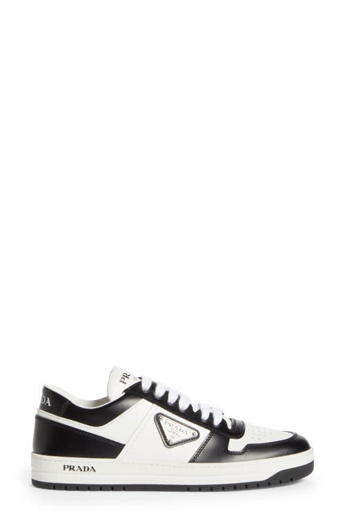 Prada Logo Sport Sneaker In Bianco/nero
