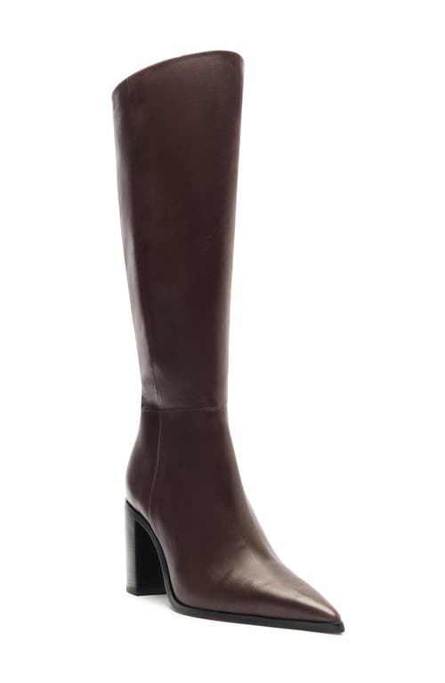 Shop Schutz Mikki Up Block Pointed Toe Knee High Boot In Brown