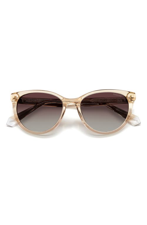 53mm Polarized Round Sunglasses in Champagne/Brown Grad Polar