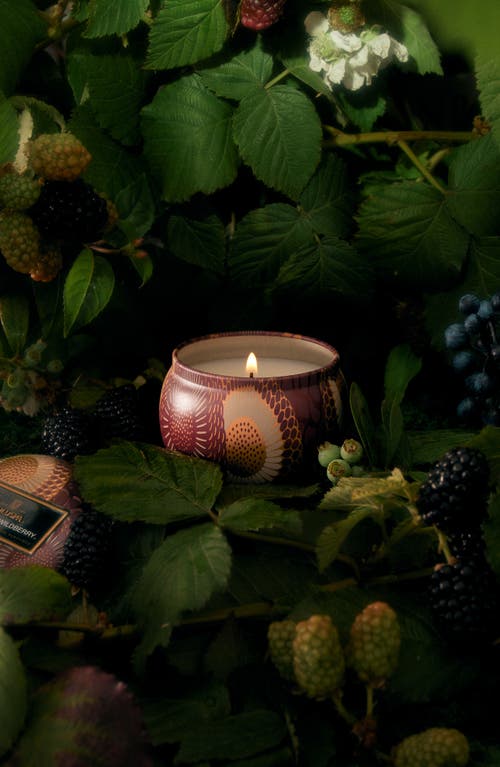 Voluspa Foraged Wildberry Mini Tin Candle In Foraged Wildberry