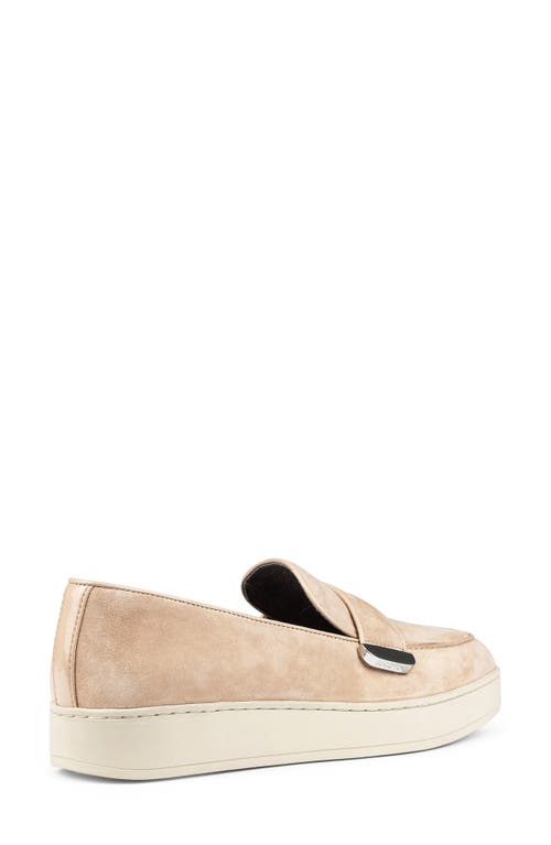 Shop Donald Pliner Tamara Slip-on Sneaker In Sand