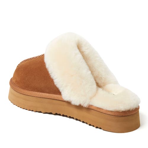 Dearfoams Fireside By Dear Foams Women's Melton Genuine Shearling Platform Scuff Slipper In Chestnut