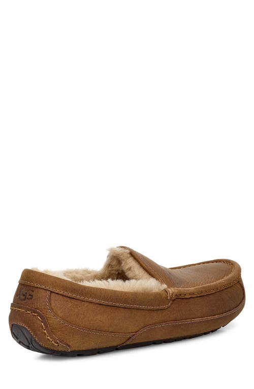 Shop Ugg(r) Ascot Leather Slipper In Tan/tan