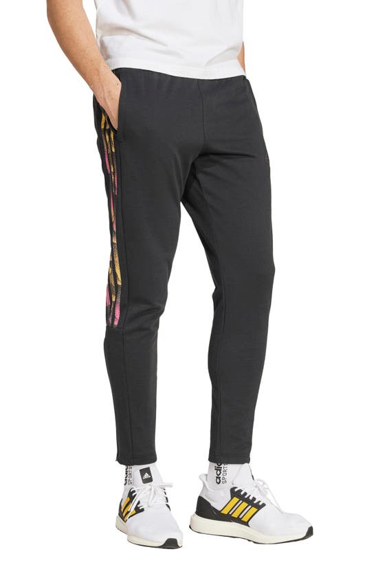 Shop Adidas Sportswear Tiro Q2 Pants In Black