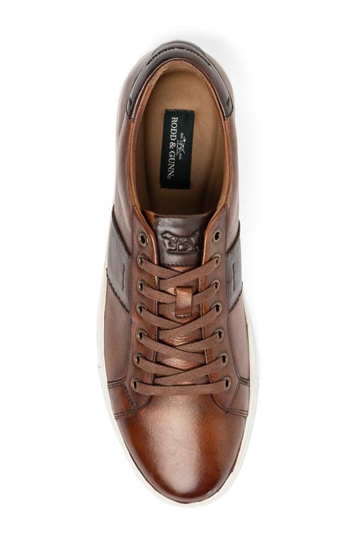 Rodd & Gunn Endeavour Cruise Sneaker In Cognac
