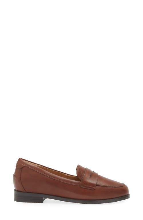 Frankie4 Franklin Penny Loafer In Deep Tan