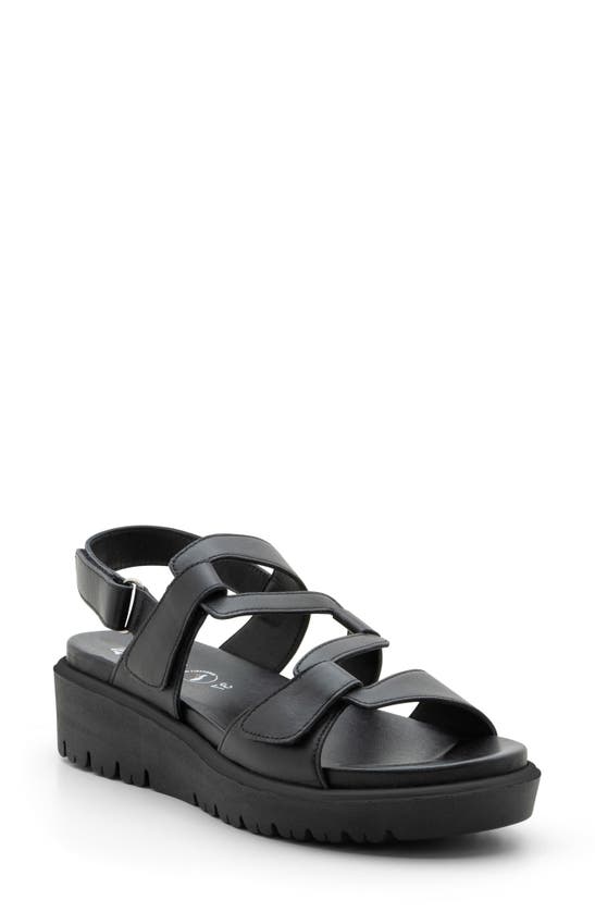 Shop Ara Bayview Strappy Sandal In Black