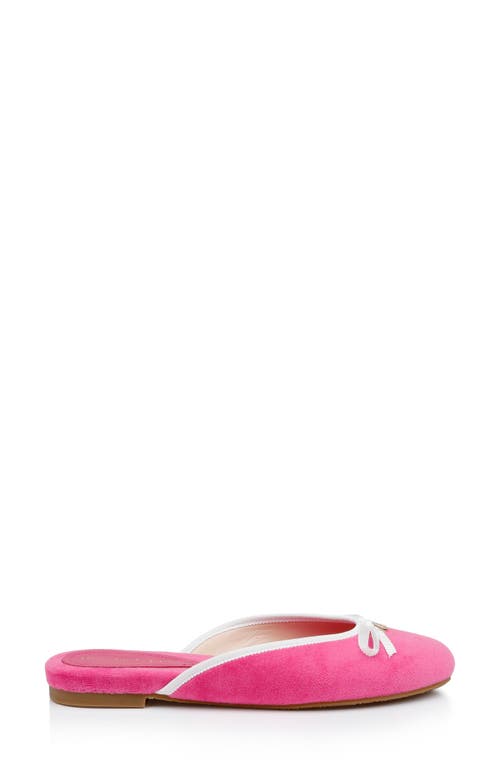 Dee Ocleppo Athens Terry-cloth Mules In Pink