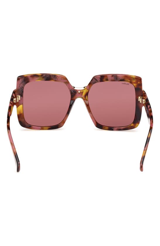 Max Mara Women's D107 56mm Square Sunglasses In Coloured Havana / Bordeaux