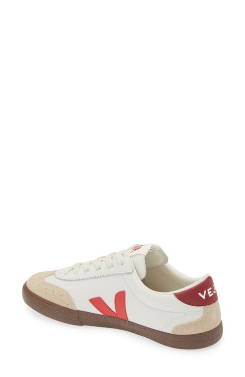 Veja Volley O. T. Leather Sneakers White Pekin Bark In White/pekin/bark