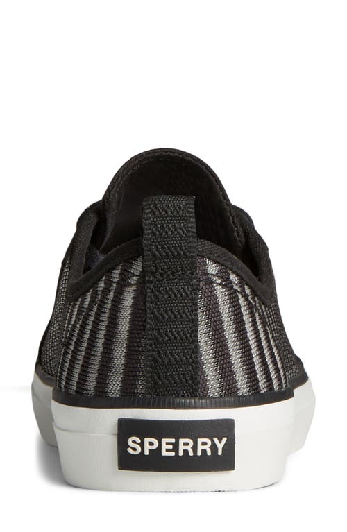 Shop Sperry Crest Vibe Pack 4 Sneaker In Black