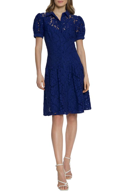 Shop Maggy London Cotton Blend Lace Fit & Flare Shirtdress In Bellwether Blue