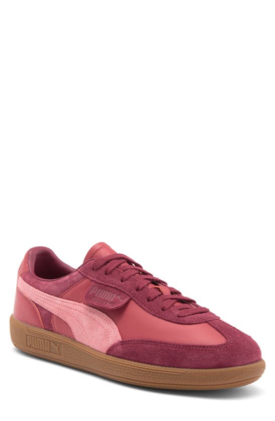 Shop Puma Palermo Sneaker In Regal Red-passionfruit-red