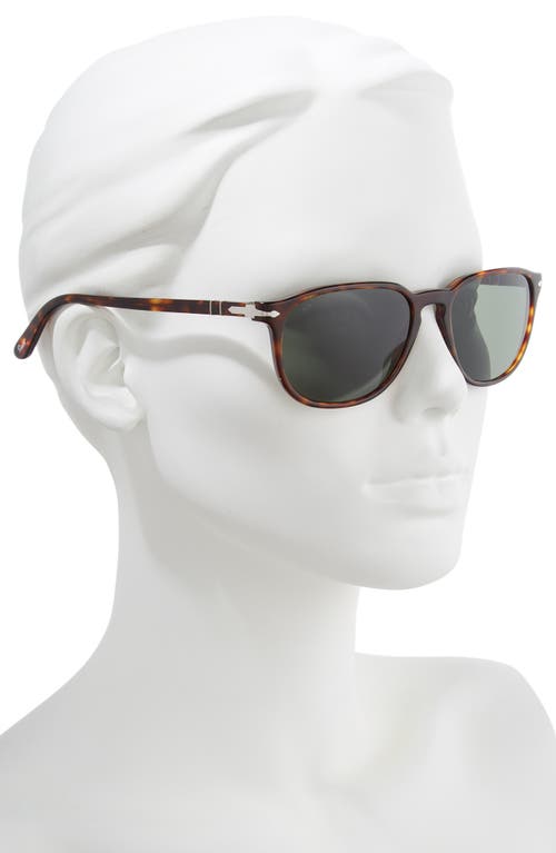 Shop Persol 55mm Square Sunglasses In Havana/green Solid