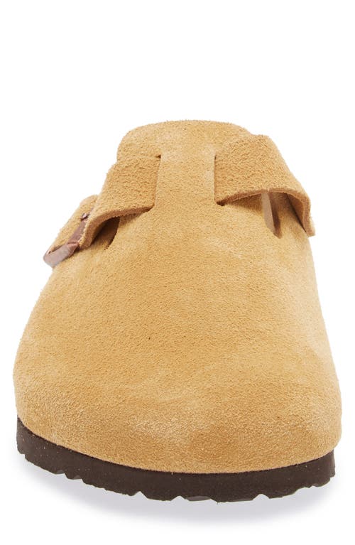 Shop Birkenstock Boston Clog In Latte Cream Suede