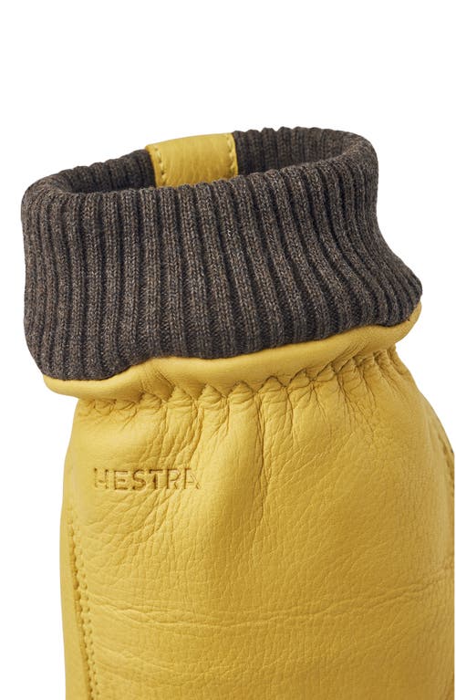 Shop Hestra Tore Deerskin Leather Gloves In Yellow