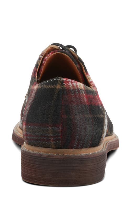 L'artiste By Spring Step Thavo Plaid Derby In Grey Multi