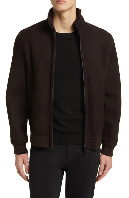 Theory Marco Genuine Shearling Jacket Mink at Nordstrom,