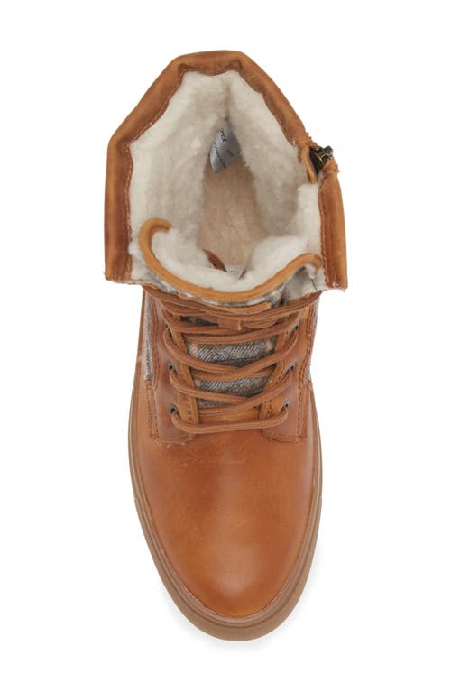Cougar Apex Lace-up Boot In Butternut