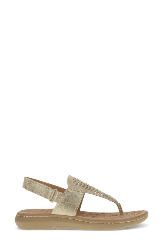 Baretraps Quincy T-strap Sandal In Old Gold