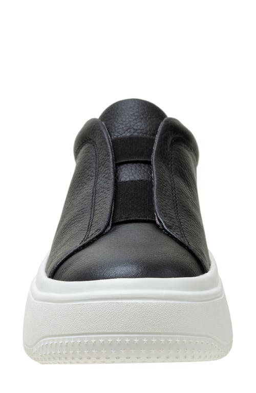 Linea Paolo Golde Platform Sneaker In Black