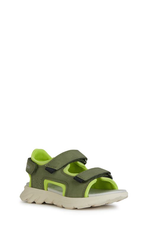 Geox Kids' Airadyum Sandal In Military/lime