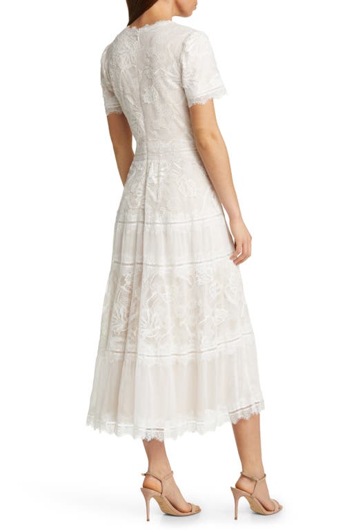 Shop Tadashi Shoji Lace & Mesh Midi Cocktail Dress In Ivory/petal