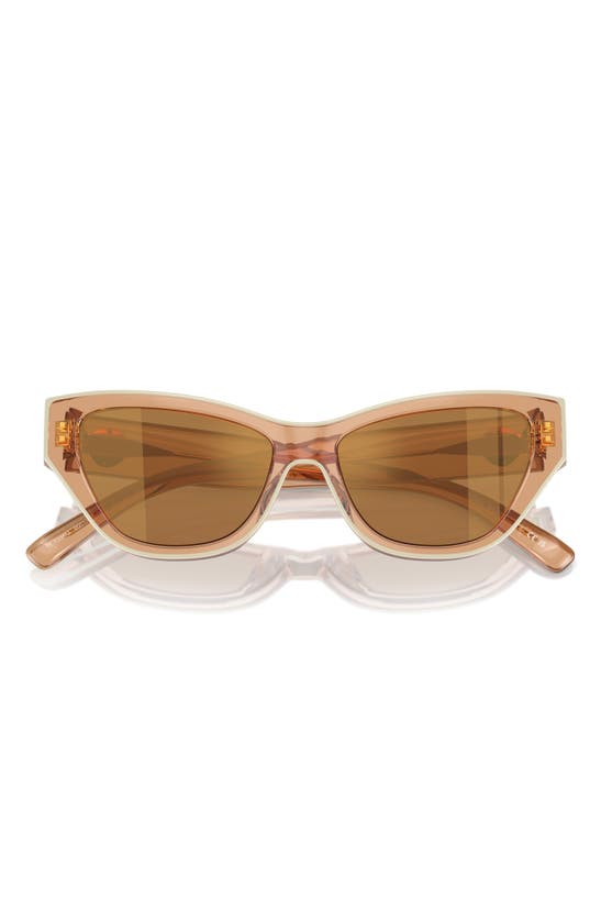 Shop Tory Burch 54mm Cat Eye Sunglasses In Brown