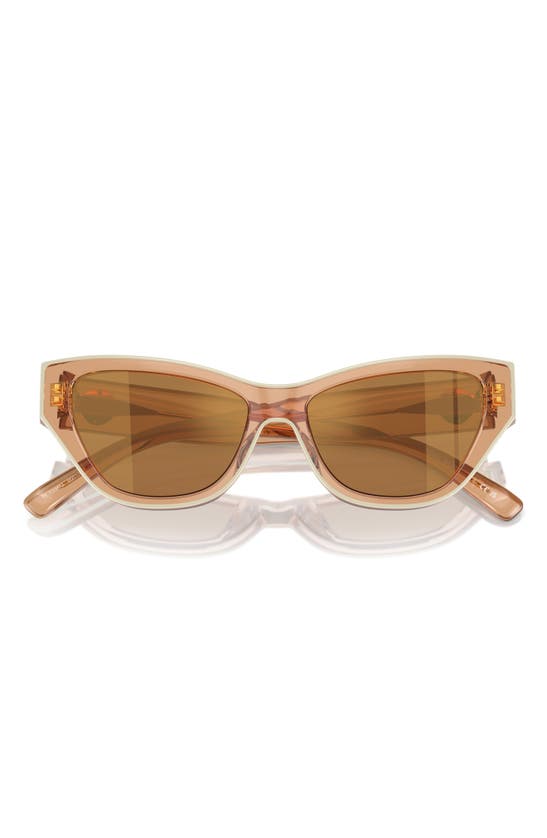 Tory Burch 54mm Cat Eye Sunglasses In Brown