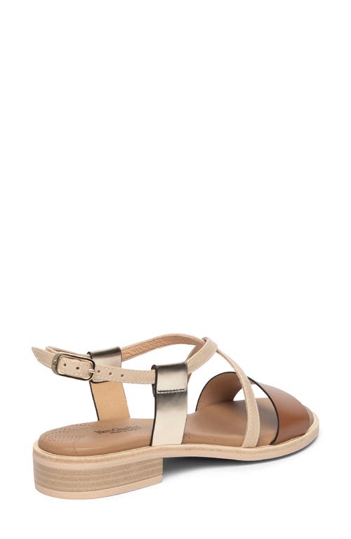 Nerogiardini Ankle Strap Sandal In Brown