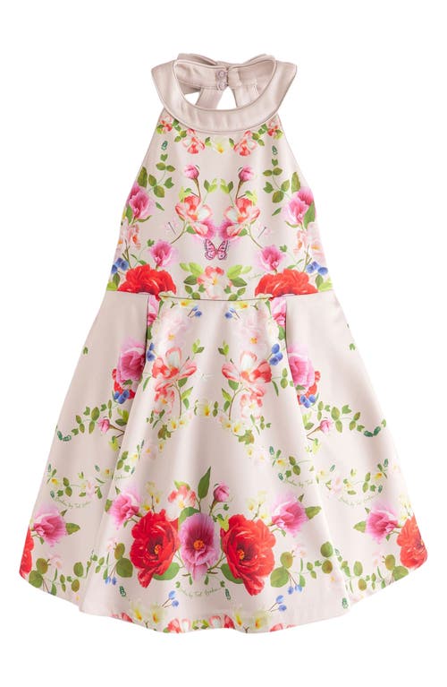 Ted Baker Baker By  Kids' Bow Back Floral Fit & Flare Dress In Champagne