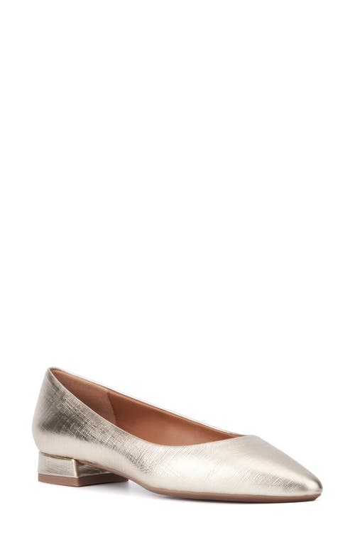 Penina Pointed Toe Flat in Platinum