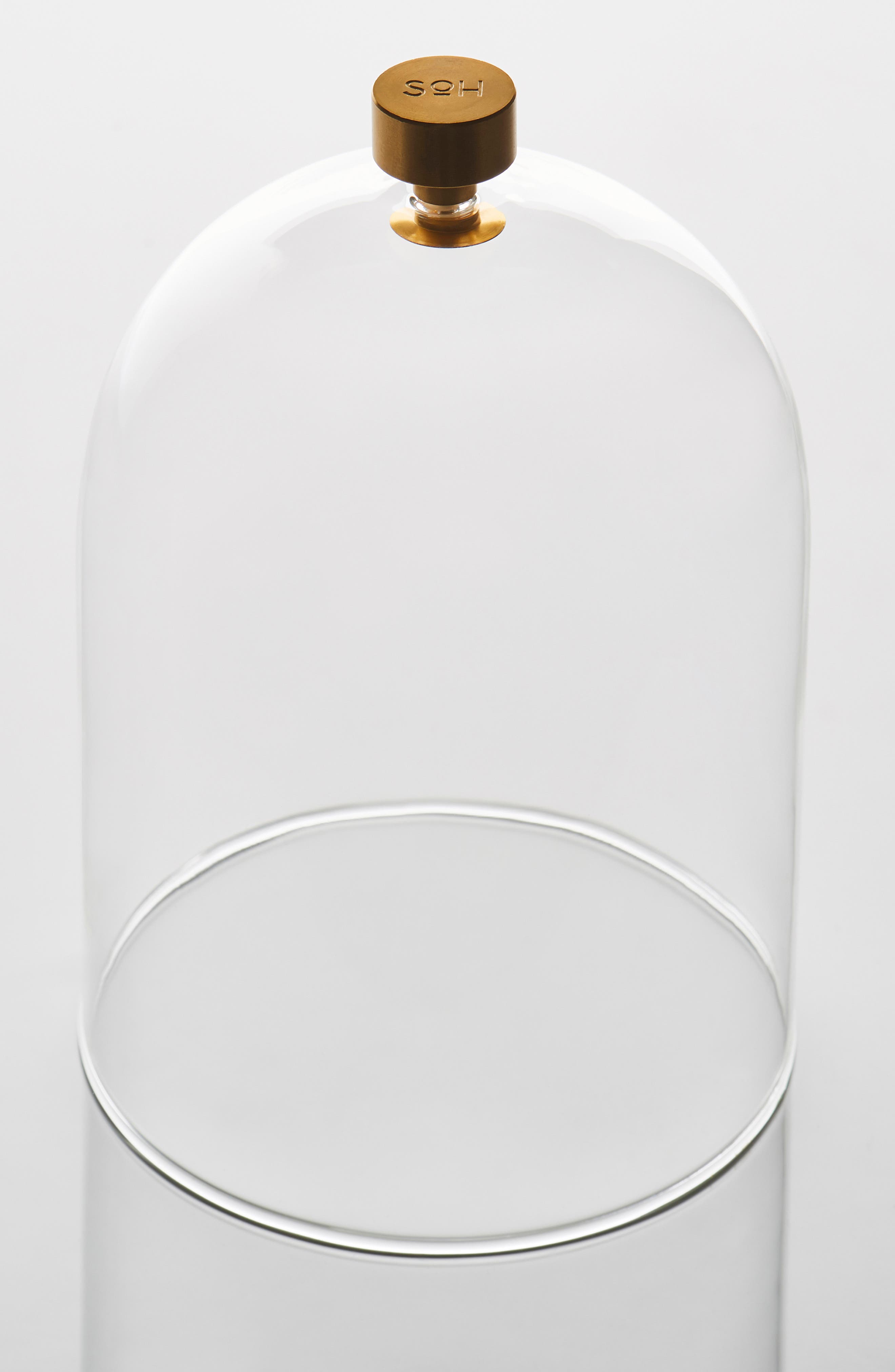SOH Melbourne Glass Cloche Nordstrom