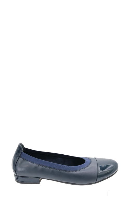 Shop David Tate Nicole Cap Toe Flat In Navy/patent