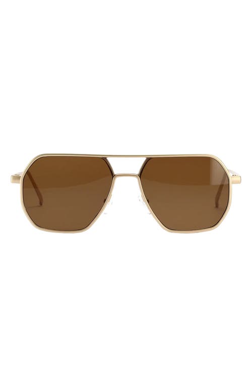 Nola 58mm Polarized Aviator Sunglasses in Brown/Gold