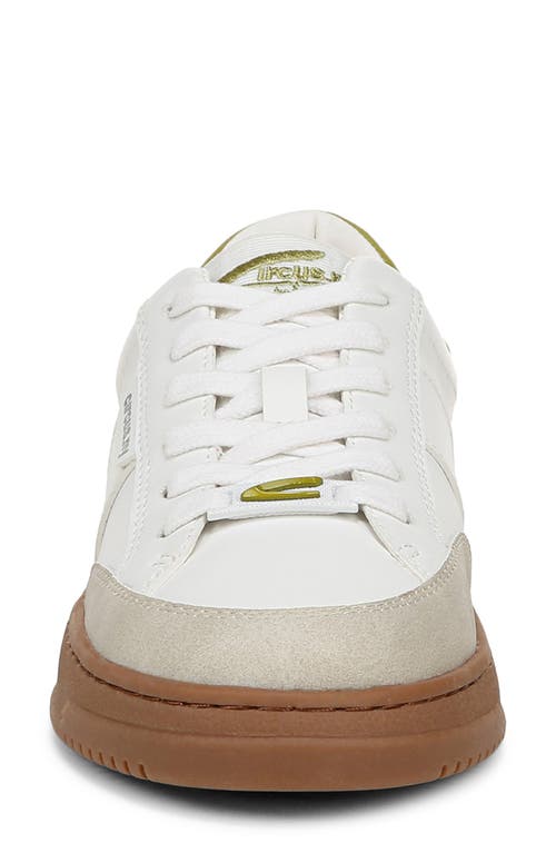 Shop Circus Ny By Sam Edelman Vance Sneaker In Bright White/cactus