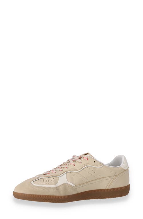 Alohas Tb.490 Rife Leather Low-top Sneakers In Cream