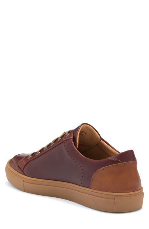Warfield & Grand Rockcastle Low Top Sneaker In Chestnut