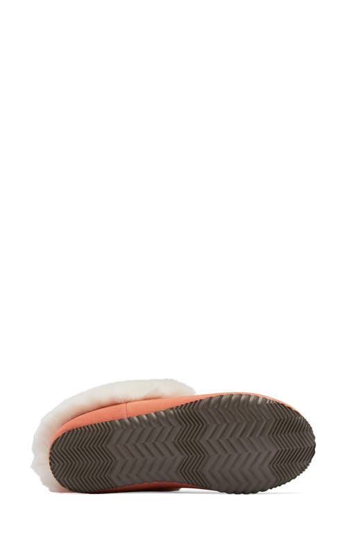 Shop Sorel Go Coffee Run Faux Fur Slipper In Paradox Pink/sea Salt