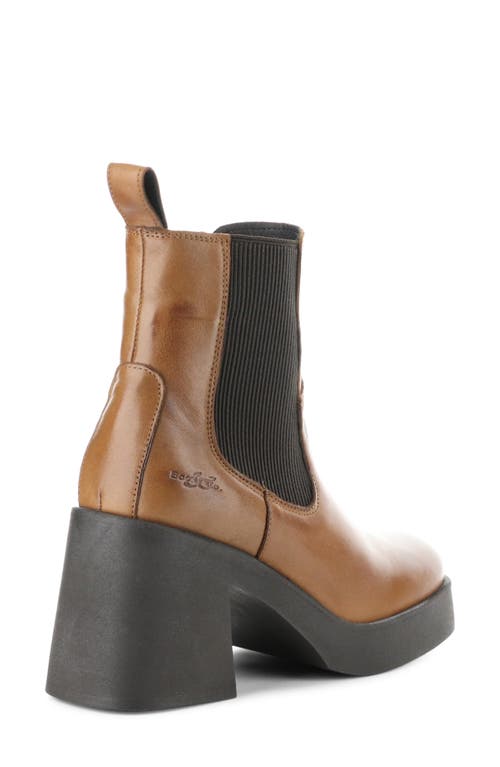 Shop Bos. & Co. Veil Waterproof Platform Bootie In Rich Tan/dark Brown