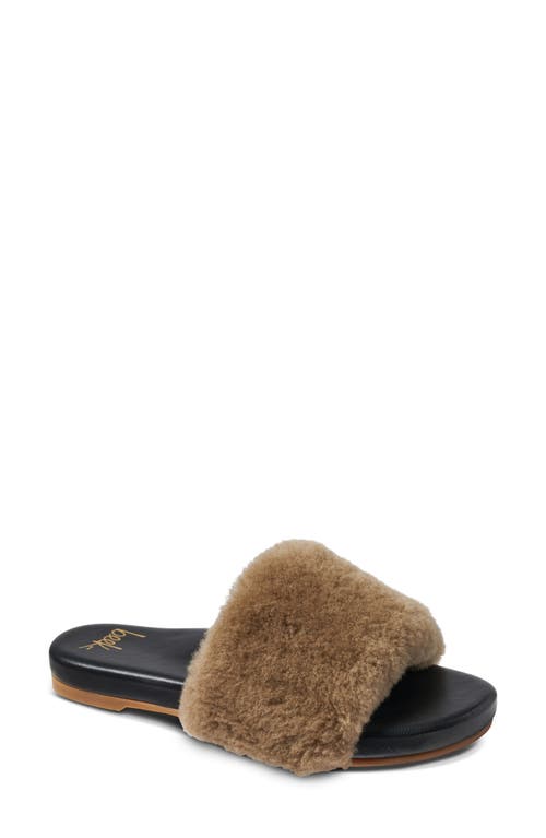 Shop Beek Baza Genuine Shearling Slide Sandal In Bronze Shearling/black