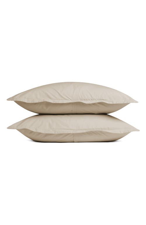 Parachute Set Of 2 Brushed Cotton Shams In Bone