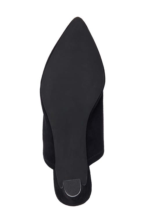 Matisse Frances Mule In Black