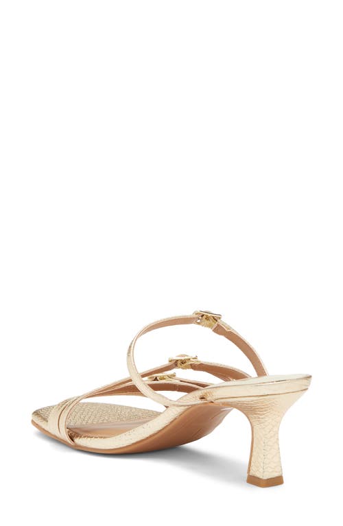 Dolce Vita Tahira Snakeskin Embossed Slide Sandal In Gold Snake Embossed Stella