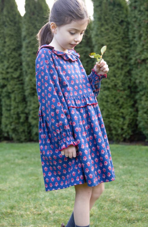Beet World Girls' Ruffle Collar Dress In Blue
