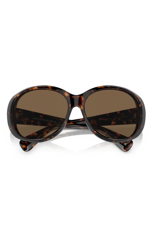 Maridan 62mm Oversize Round Sunglasses in Brown