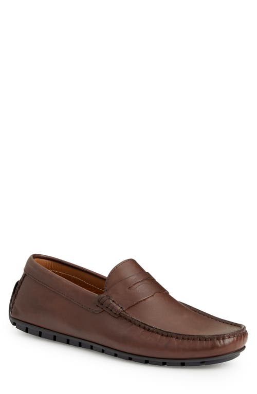 Bruno Magli Xane Driving Penny Loafer in Leather at Nordstrom