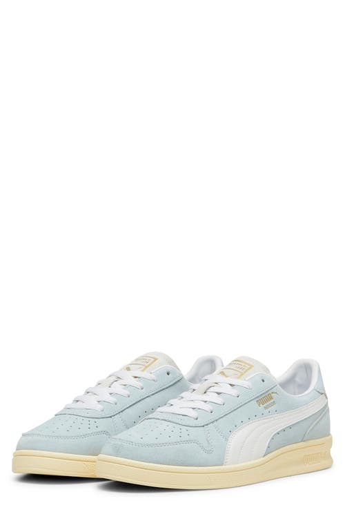 Puma Indoor Soft Trainer In Frosted Dew- White